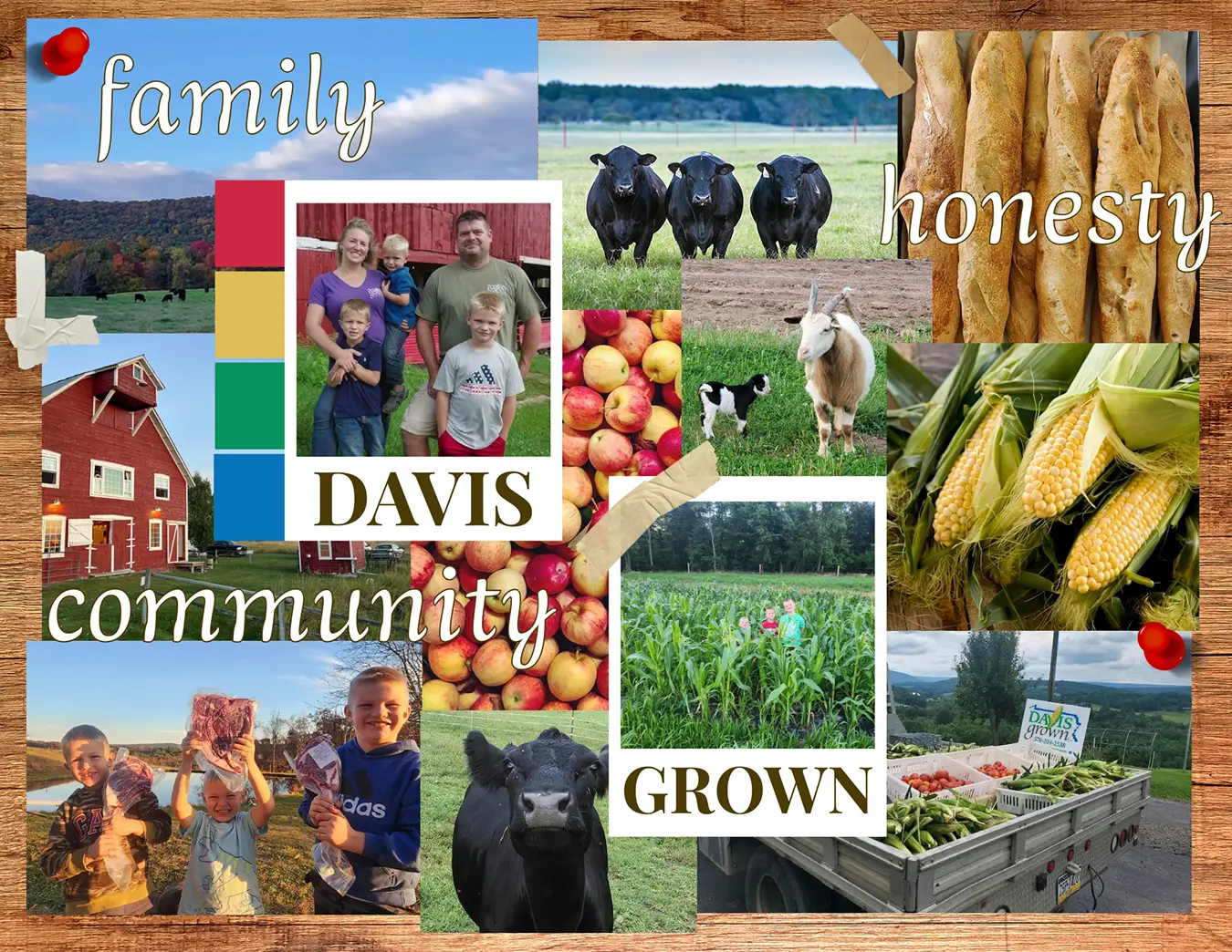 Refined mood board combining family photos with the Davis Grown wordmark and farm imagery