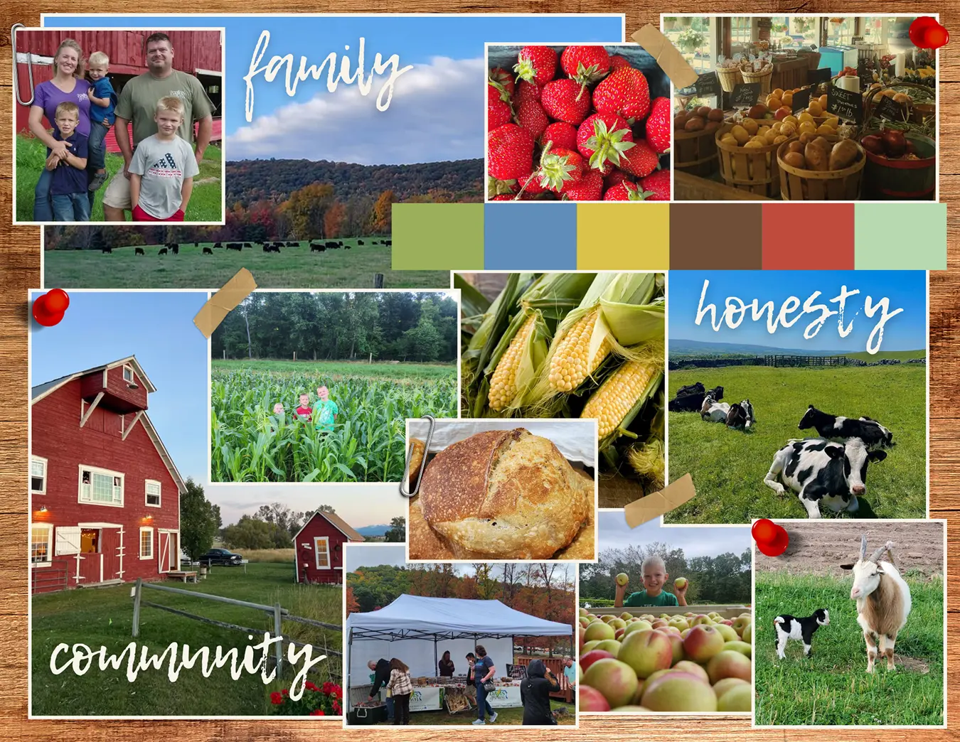 Mood board of family, farm, and community photos on a wood corkboard, with a color palette of blues, golds, greens, and reds