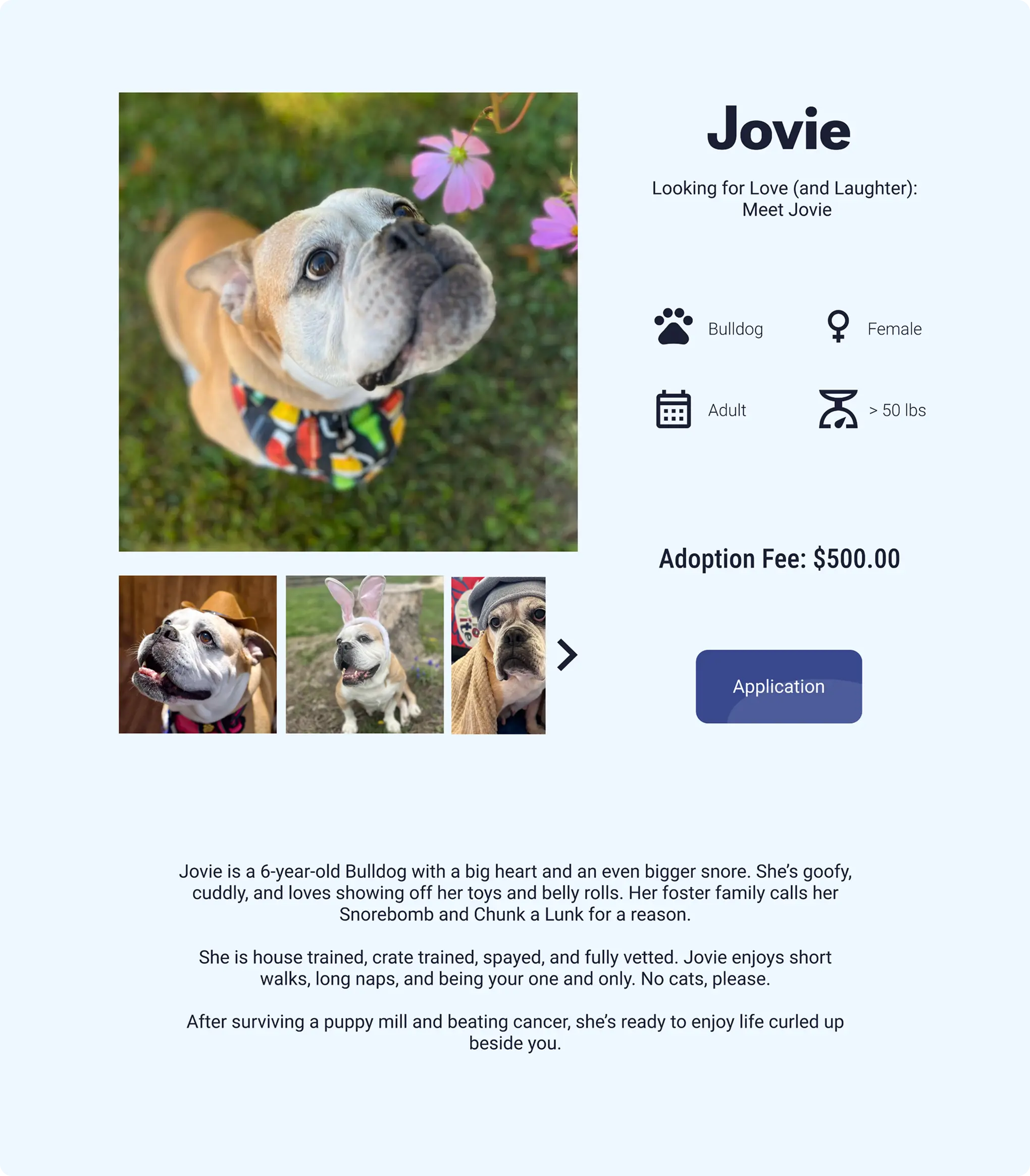 Jovie's dog profile page on desktop, with a two-column layout pairing the photo gallery on the left with adoption details on the right