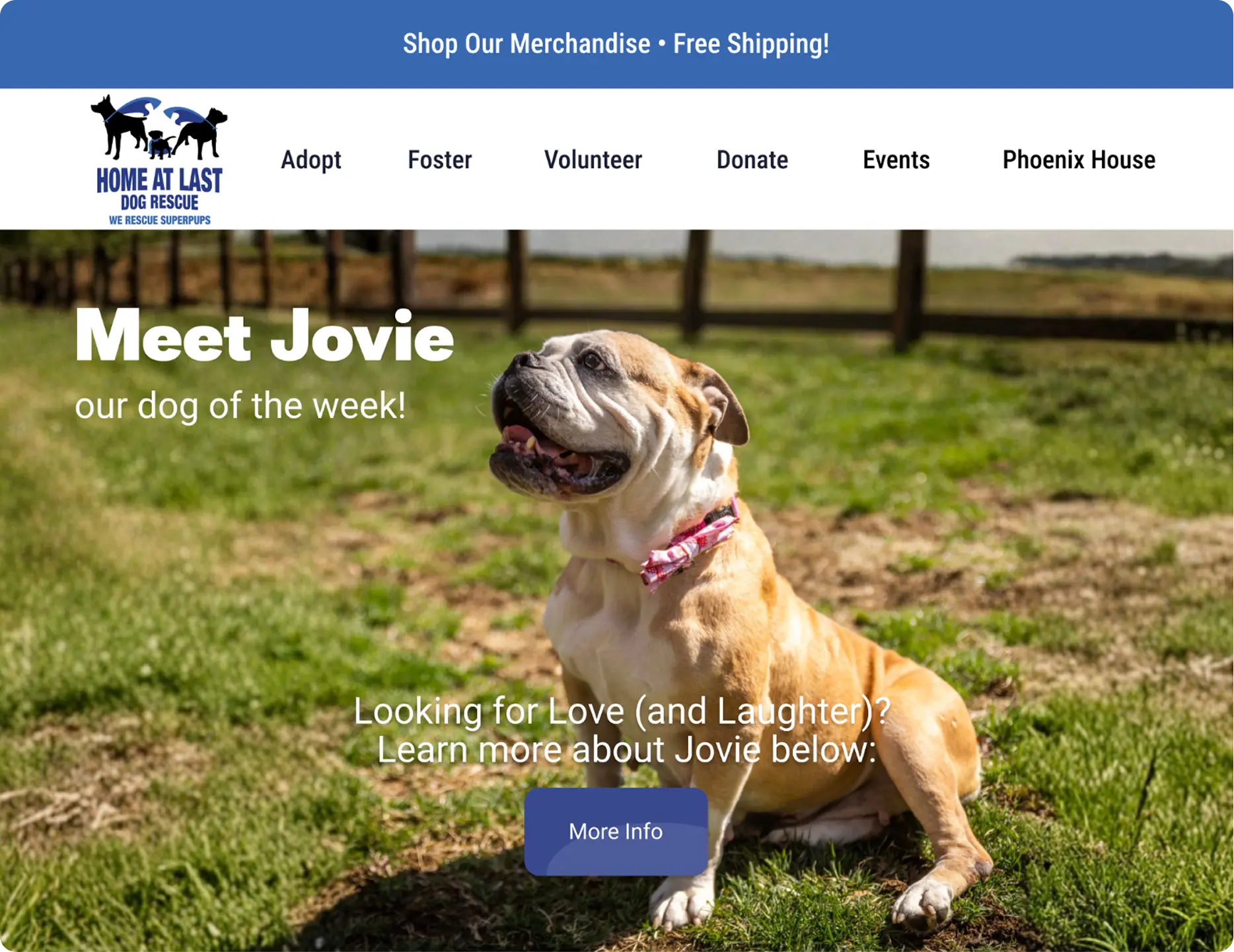 Home At Last homepage header and hero section with full navigation and the Meet Jovie dog of the week feature