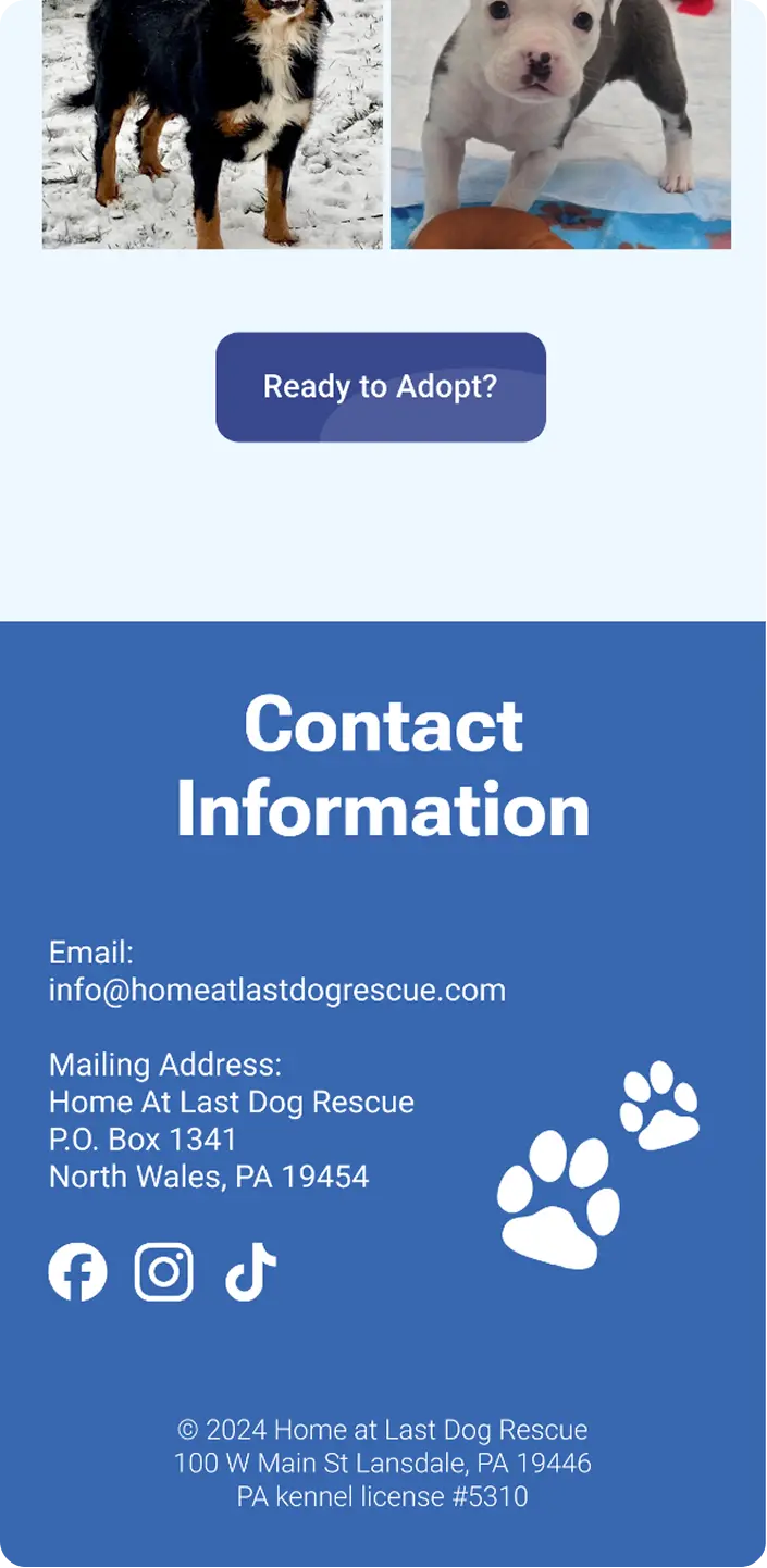 More adoptable dog photos, a Ready to Adopt button, and the Contact Information footer